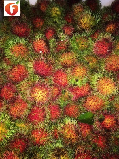 Rambutan Fruits in Bangladesh